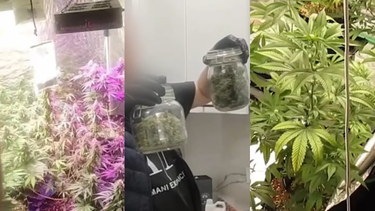  кадр из видео