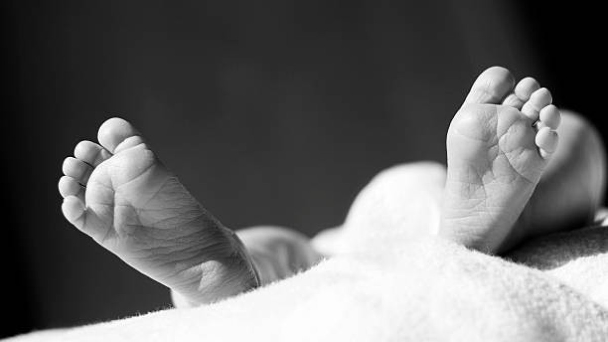  Istockphoto