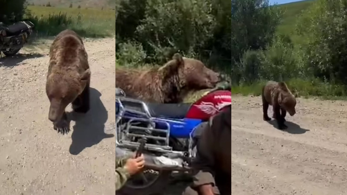  кадры из видео instagram/ilove.ukg
