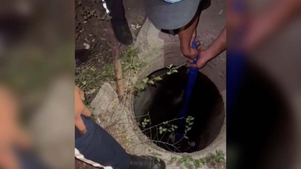  Скриншот видео