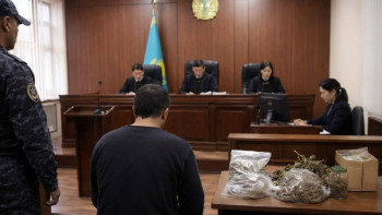 Фотография к новости: Собрал коноплю у границы: жителя Алматинской области отправили в колонию