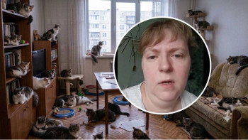 Фотография к новости: «Отлов» за закрытой дверью: как трагедия в Конаеве показала изнанку новых правил для животных