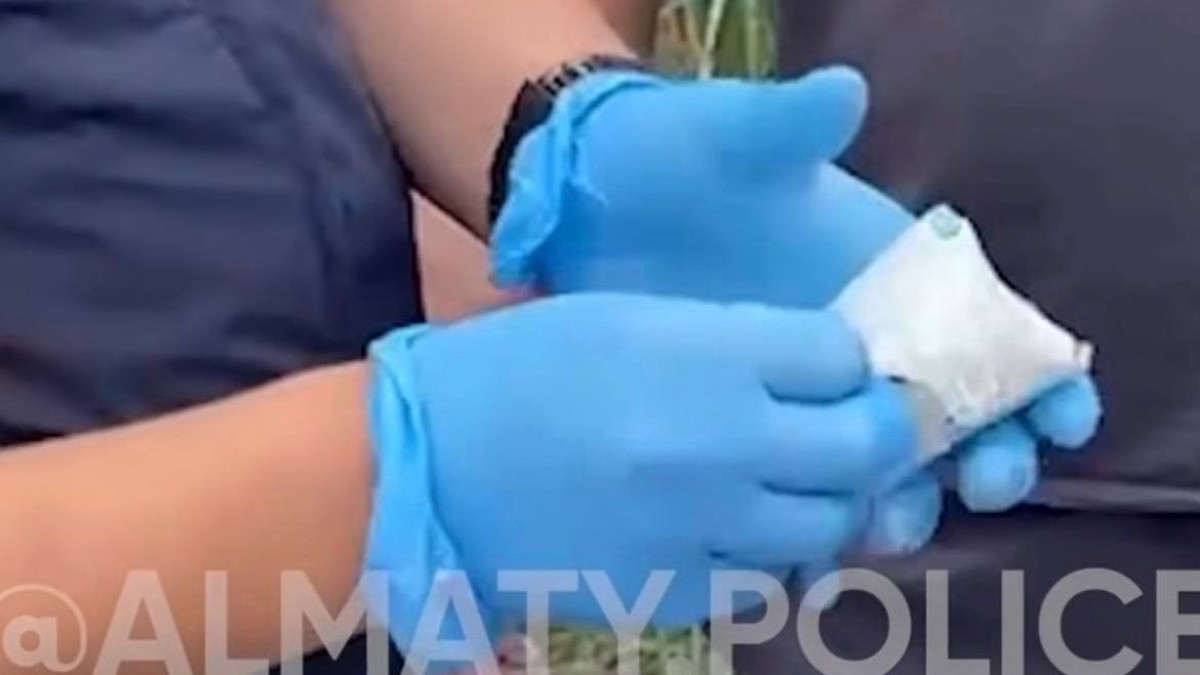  Скриншот видео