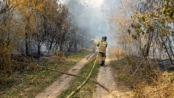 Фотография к новости: Природный пожар в Ханской роще ликвидирован