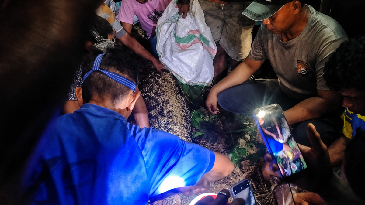  detikSulsel