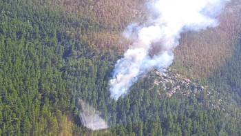 Фотография к новости: В Казахстане за сутки потушили пять лесных пожаров