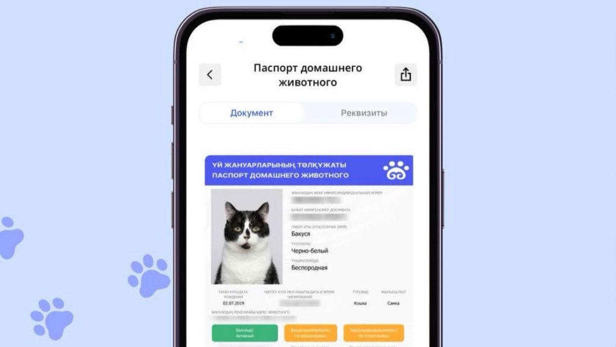  eGov.kz