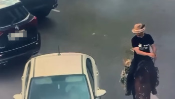 Фотография к новости: Всадник на лошади нарушил правила в центре Астаны: детали случая