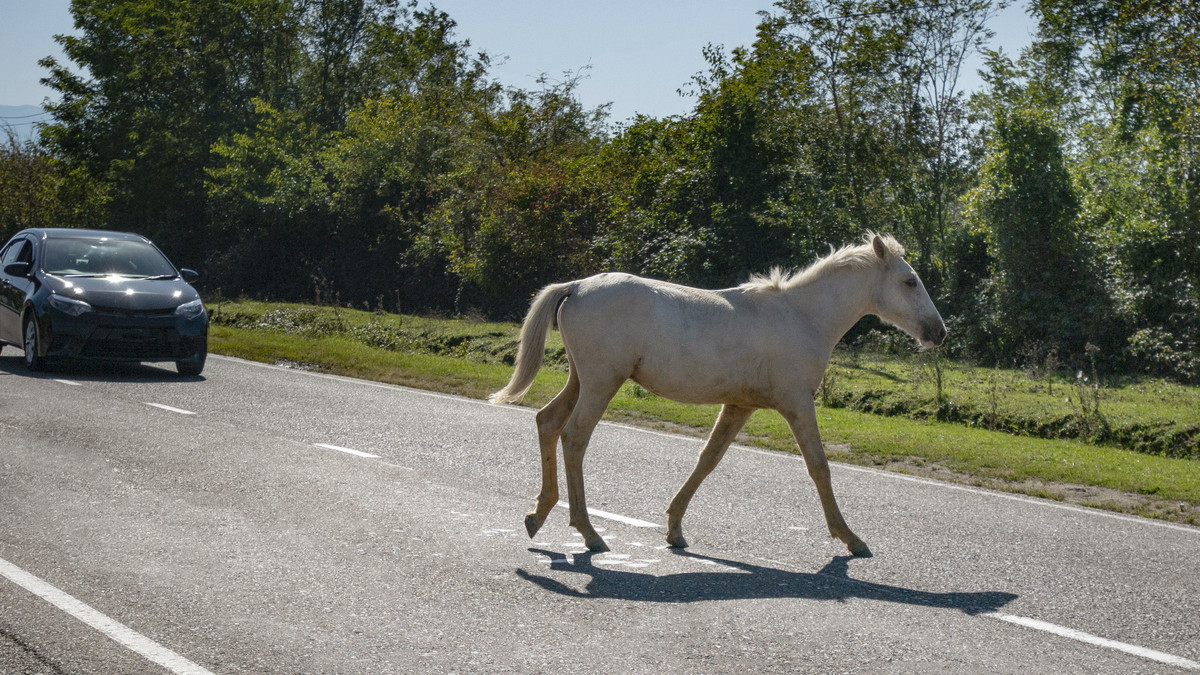  istockphoto
