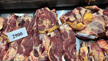 Фотография к новости: 3,5 тонны мясной продукции представили на ярмарке в Актобе