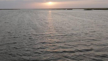 Фотография к новости: 1,2 млрд кубометров воды направили в Северный Арал: увеличат ли подачу