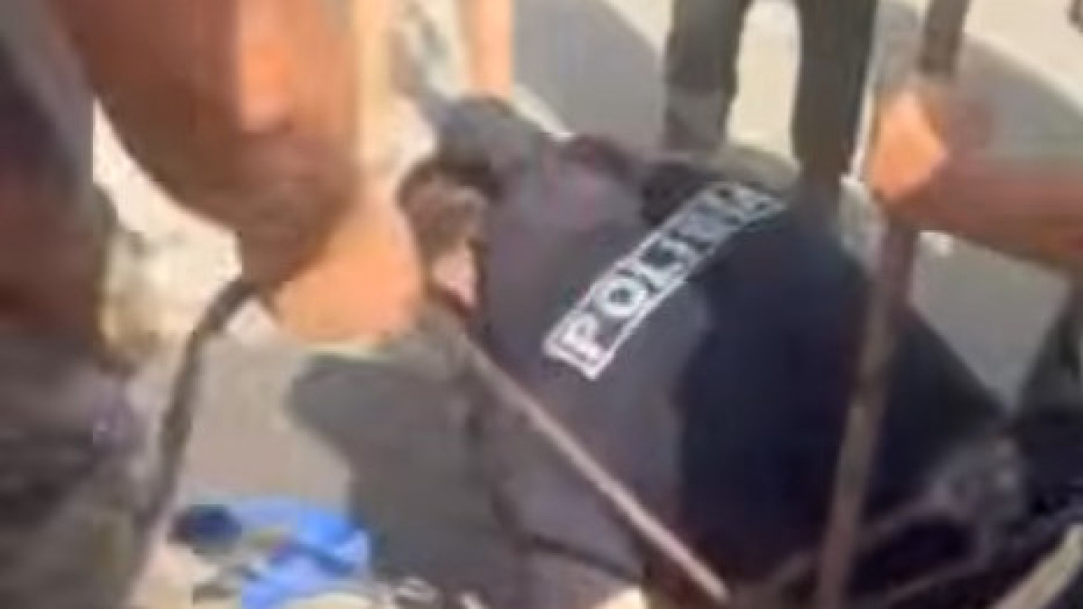  кадр из видео