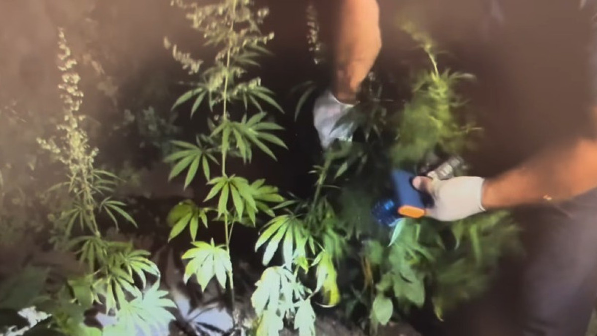  кадр из видео