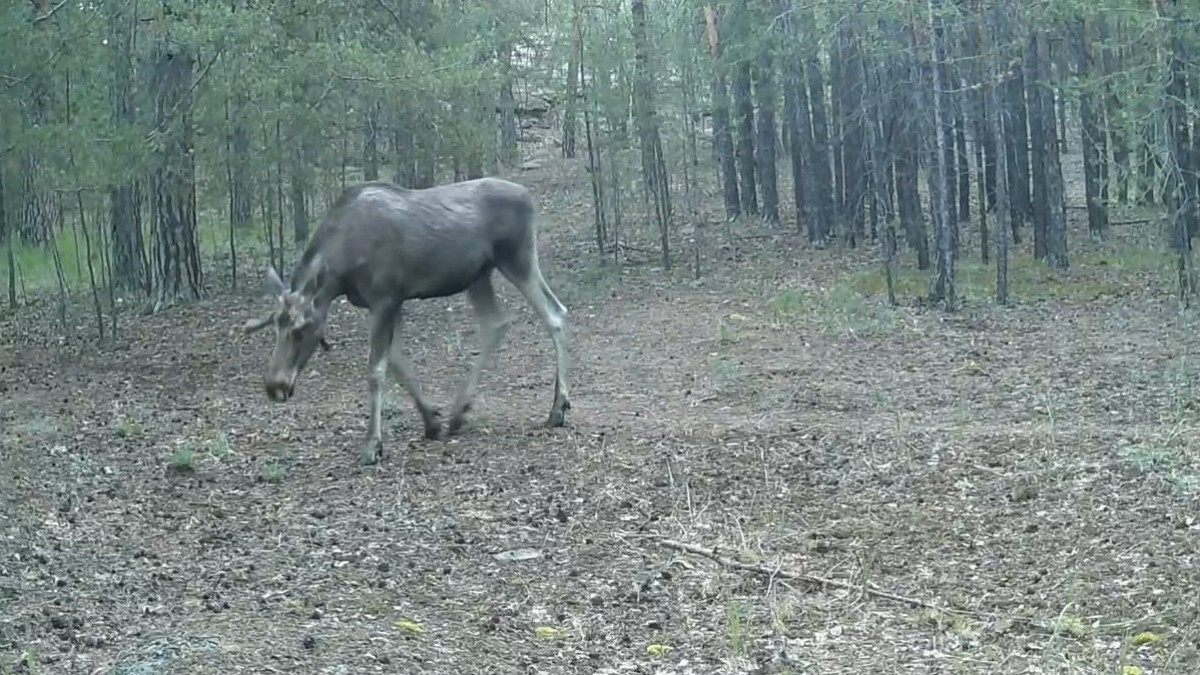  кадр из видео