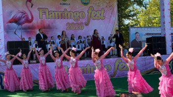 Фотография к новости: От степных пейзажей до розовых фламинго: в Коргалжыне проходит Flamingo Fest
