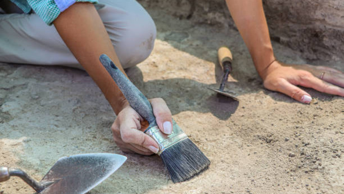  Istockphoto