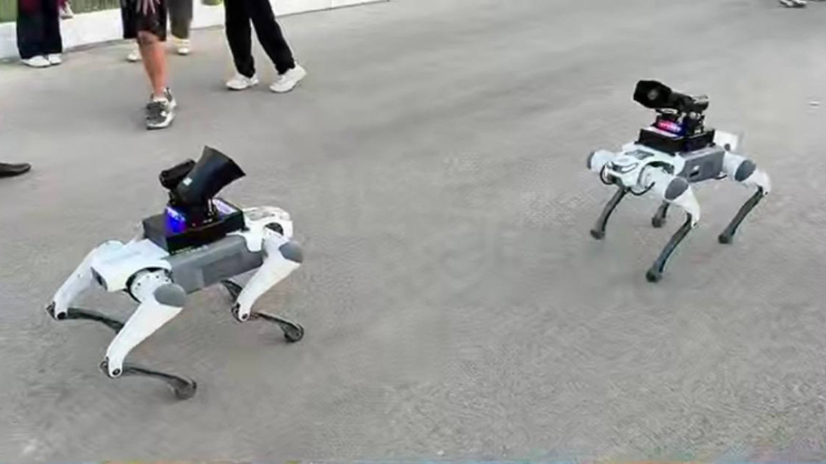  Скриншот видео