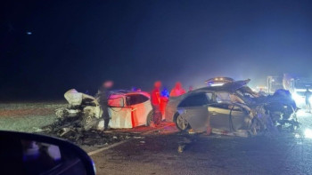 Фотография к новости: Toyota сбила верблюда и вылетела на встречку: погибли четверо