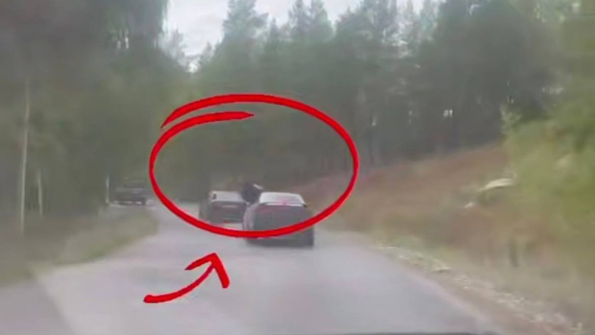  Скриншот видео