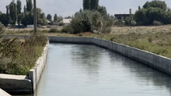 Фотография к новости: В канале на окраине Тараза нашли тело новорожденного