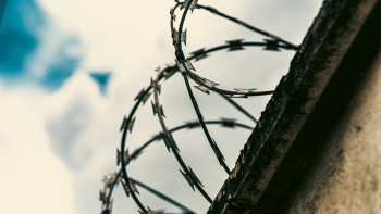 Фотография к новости: В Павлодарской области в 2,5 раза завысили занятость осужденных