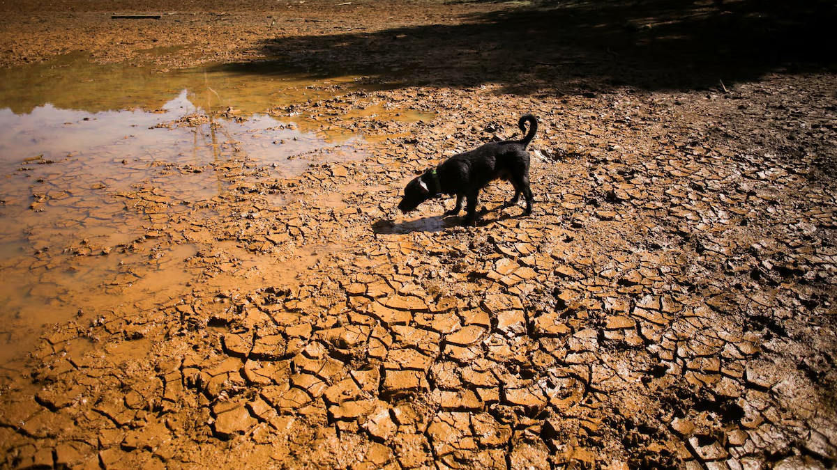  REUTERS/Juan David Duque/File Photo
