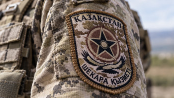 Фотография к новости: Контрабанда на миллиарды, осетр и оружие: что пограничники нашли за месяц