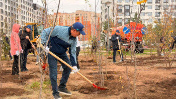Фотография к новости: Более 640 деревьев высадили в парке Коктал в Астане