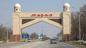 Фотография к новости: В Таразе засохли 1500 деревьев, которые посадил акимат: под аллеей оказался газопровод