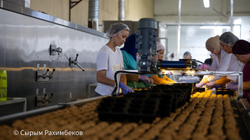 Фотография к новости: Как продукт из Караганды проходит путь до магазинной полки