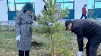 Фотография к новости: В Астане высадили деревья в честь дня донорства