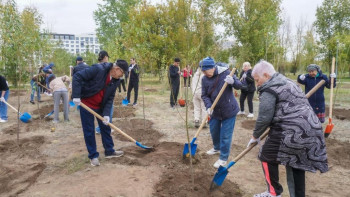 Фотография к новости: Около 400 тысяч жителей приняли участие в осеннем экологическом месячнике в Астане