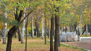Фотография к новости: Больше 20 000 деревьев и миллион цветов: в Костанае приживаемость выросла, проблемы остались
