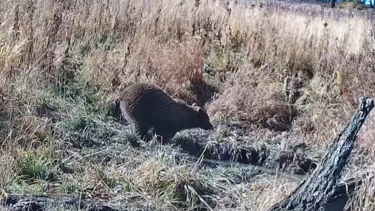  Кадр из видео
