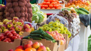 Фотография к новости: Почти тысячу тонн продуктов привезут в Астану: где и когда пройдет ярмарка
