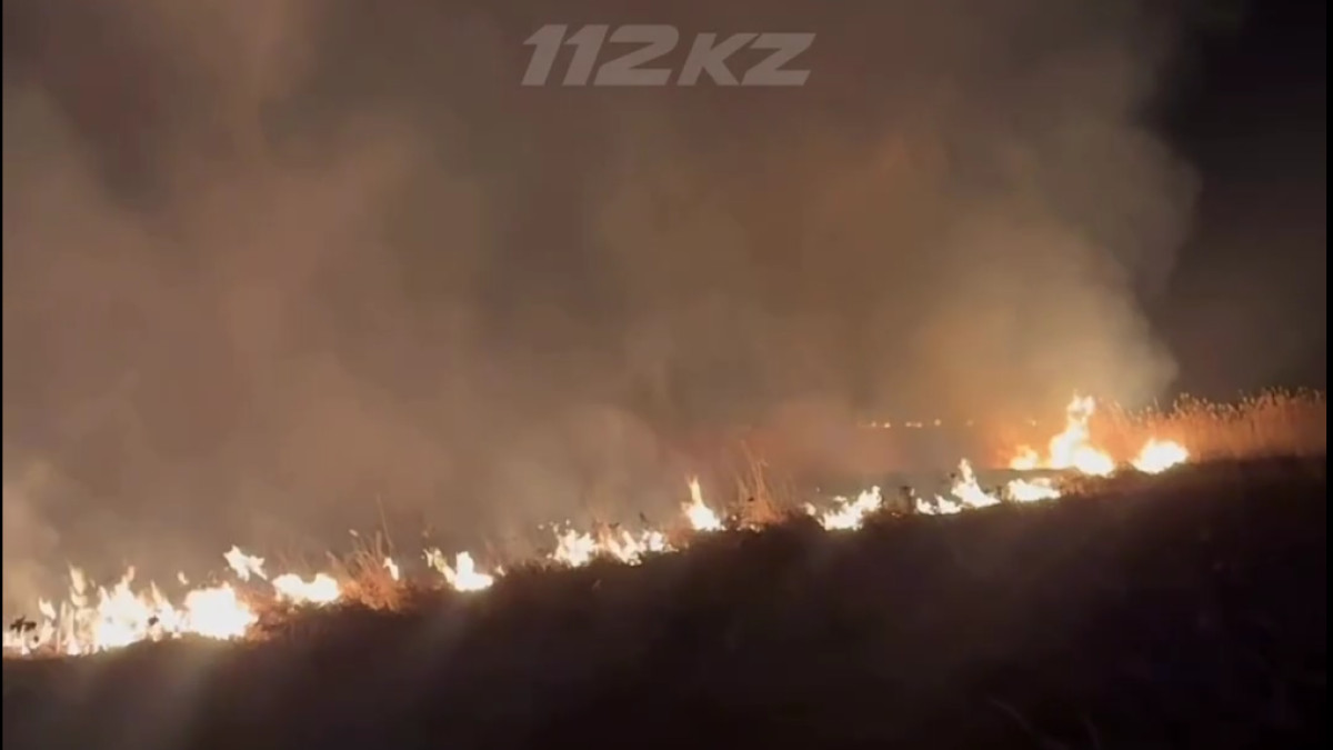  скриншот видео МЧС