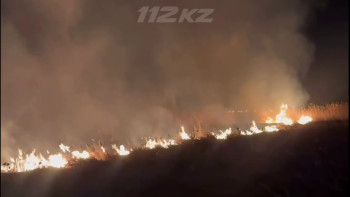 Фотография к новости: Сухая трава загорелась сразу в двух районах Акмолинской области