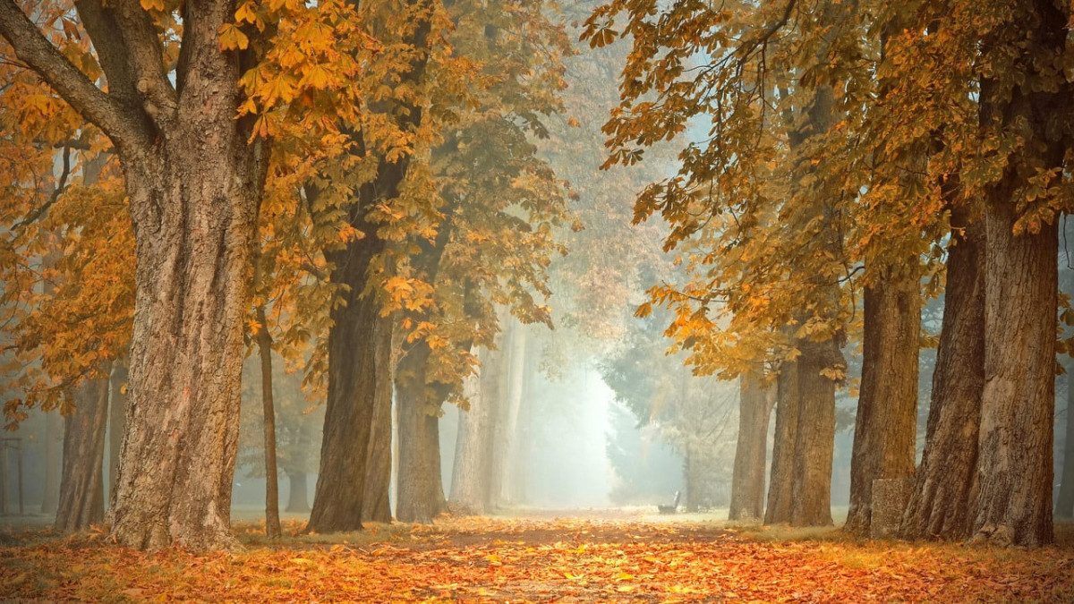  Pixabay.com