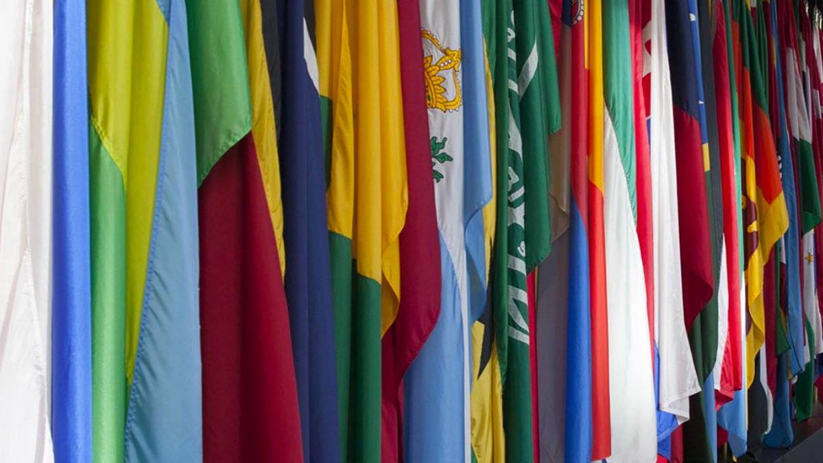  imf.org