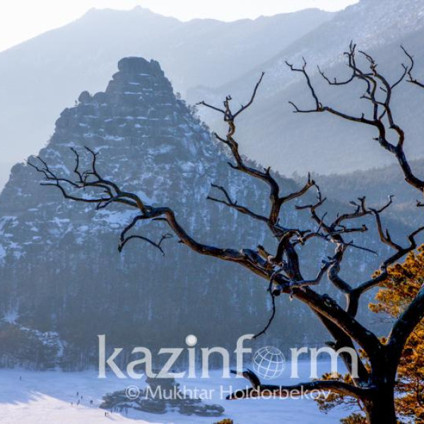 Как качество сна и его продолжительность влияют на нашу жизнь?