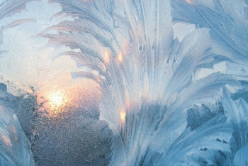 Фотография к новости: В ВКО из-за непогоды отменены занятия в школах 