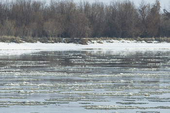 Фотография к новости: Кызылординцев предупредили о возможном шторме на Сырдарие
