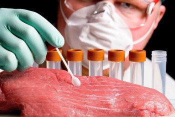 Опасные вещества обнаружило МСХ РК в завезённых продуктах из России и Беларуси