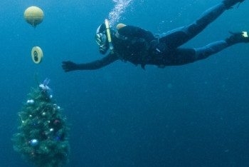 Фотография к новости: Дайверы установили на дне Голубого озера новогоднюю ель