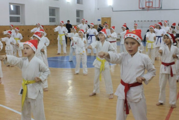 Фотография к новости: В Кокшетау более 300 каратистов нанесли 2019 ударов