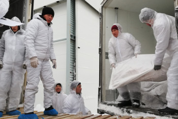 Фотография к новости: Первую партию мяса отправили из Уральска в Китай