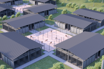 Фотография к новости: Госприют для животных построят в Астане