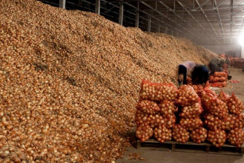 Деятельность стабилизационных фондов будут расширять в Казахстане