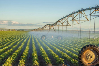 План развития орошаемых земель до 2028 года презентовали в МСХ