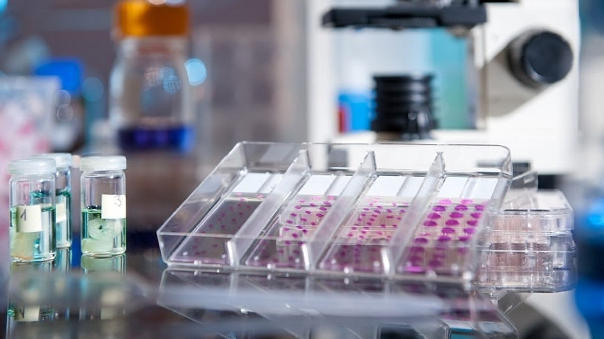 Комсомольская правда Казахстан